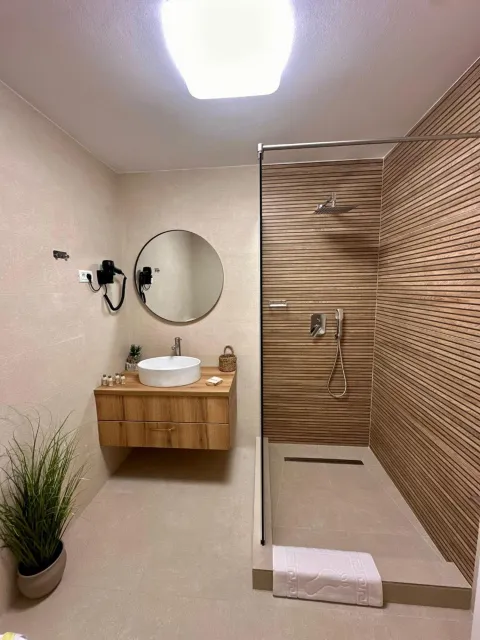 The bathroom, with a glass-screened shower and a sink on a wooden top