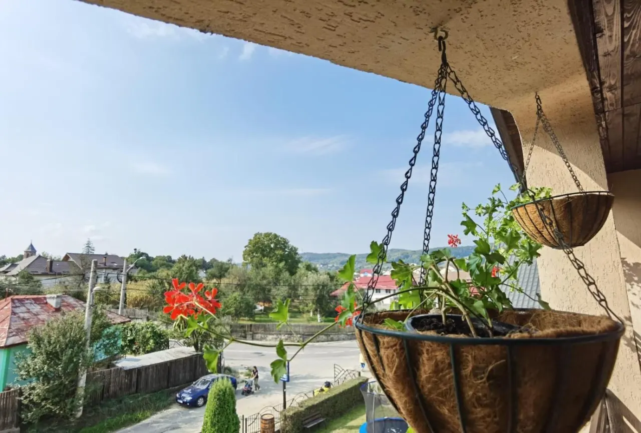Vedere de pe balcon peste acoperișurile din Curtea de Argeș, cu un coș cu flori atârnat